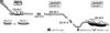  070664 Exhaust System